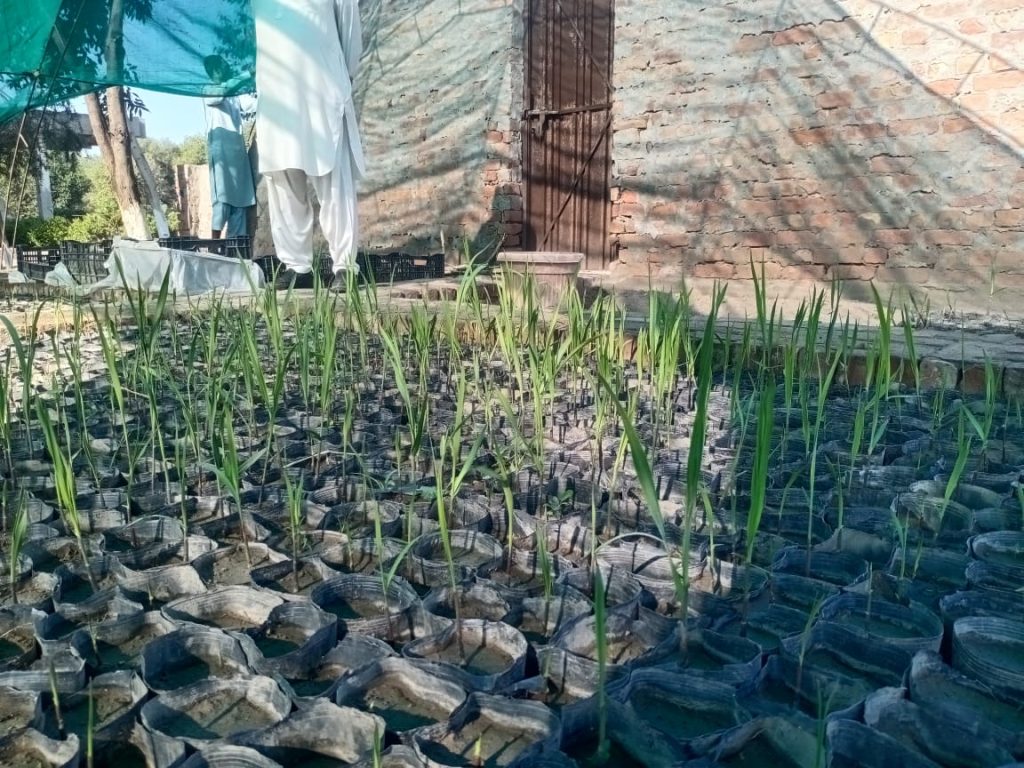 SSRI Research Farm & Field Experiments