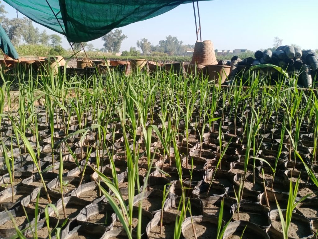 Soil & Water Testing Analytical Equipment